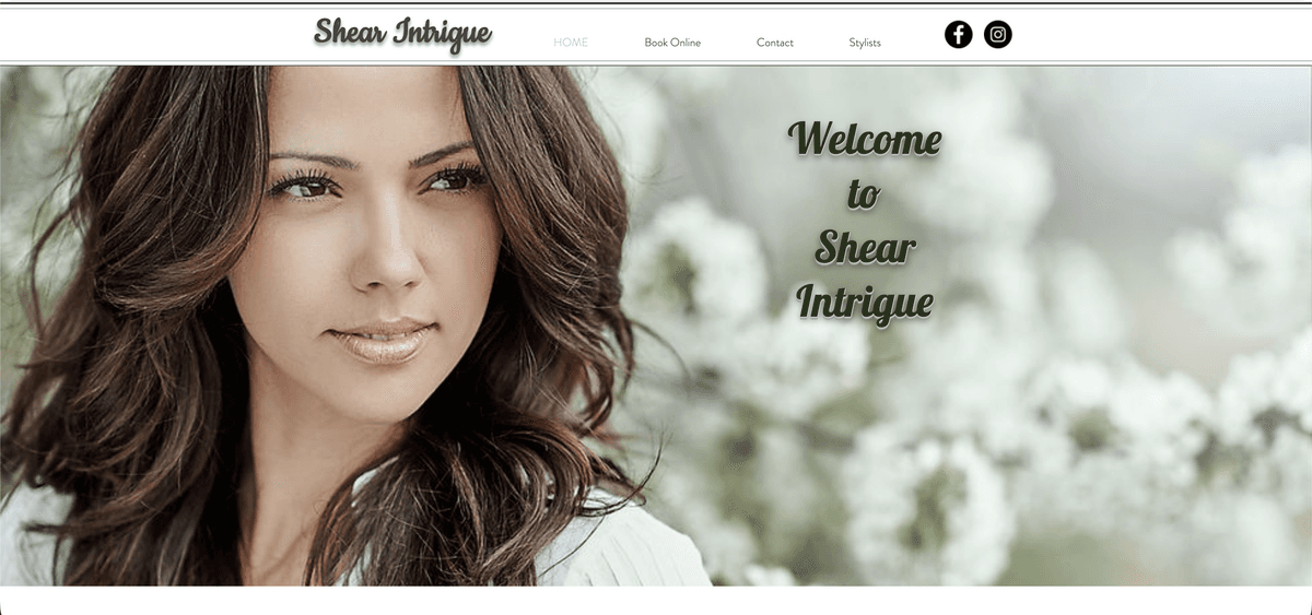 Shear Intrigue Website Before Rebrand