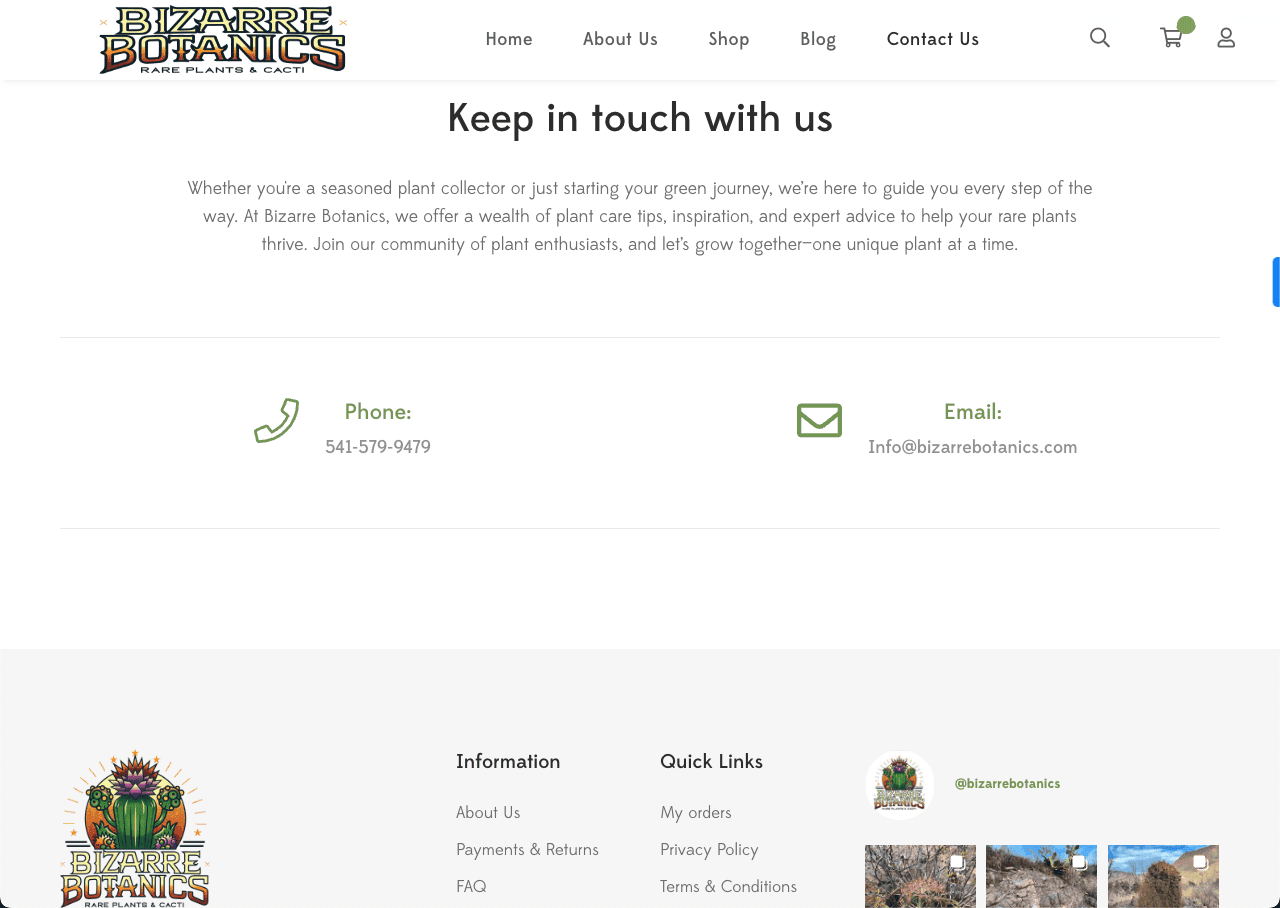 Bizarre Botanics - Brand Build – gallery 3