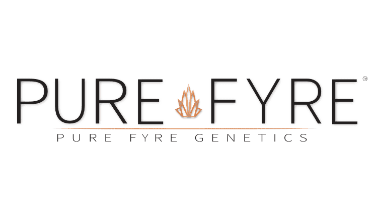 Pure Fyre - Branding, Logo, and Packaging Design – gallery 12