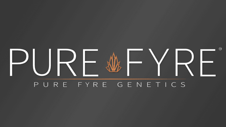 Pure Fyre - Branding, Logo, and Packaging Design – gallery 14