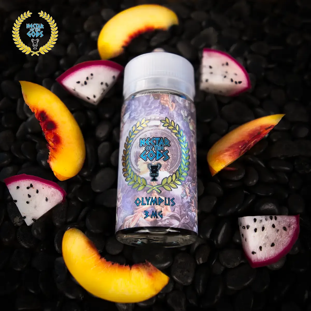 Royal Phoenix – gallery 21