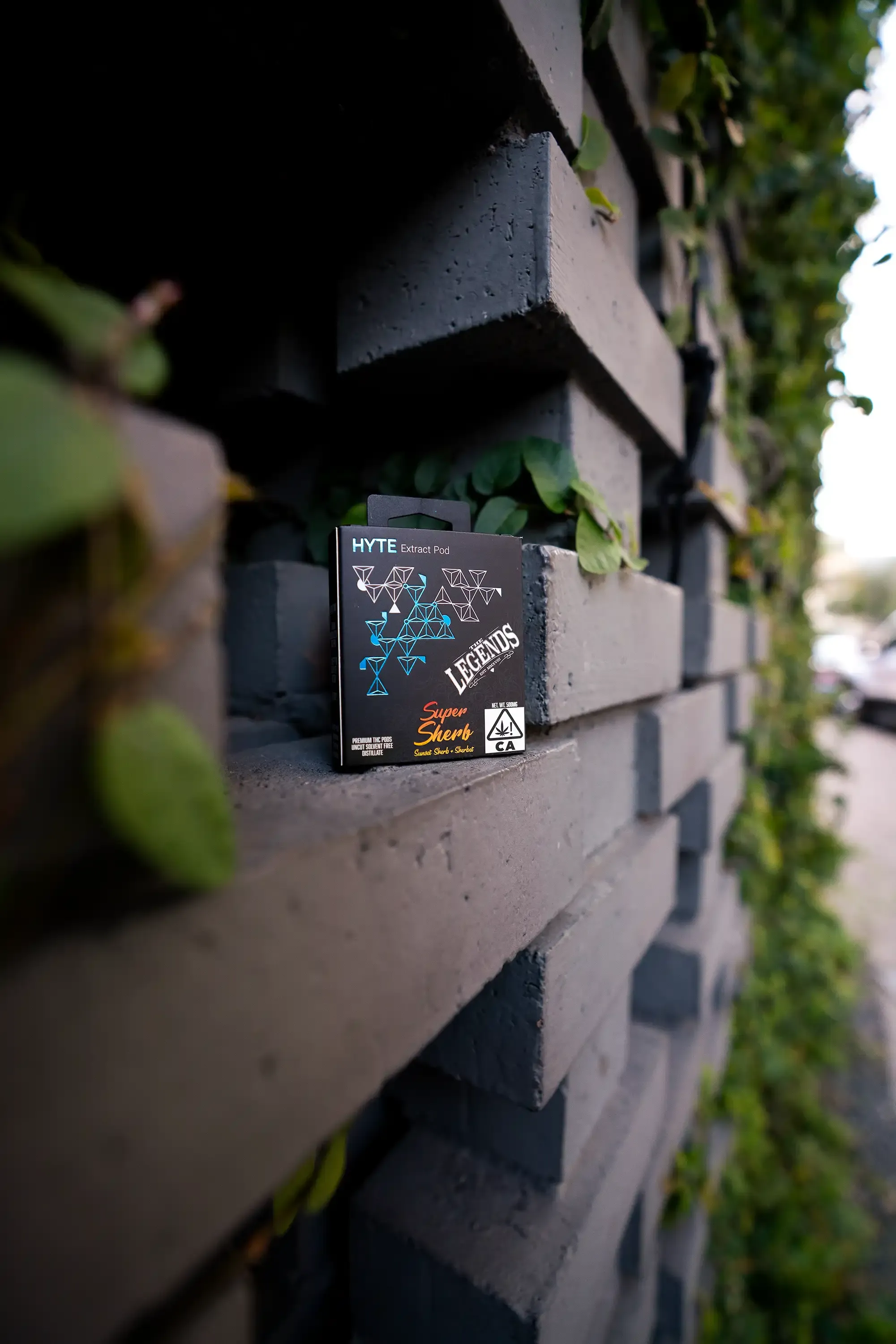 The Legends - Austin, Tx – gallery 4