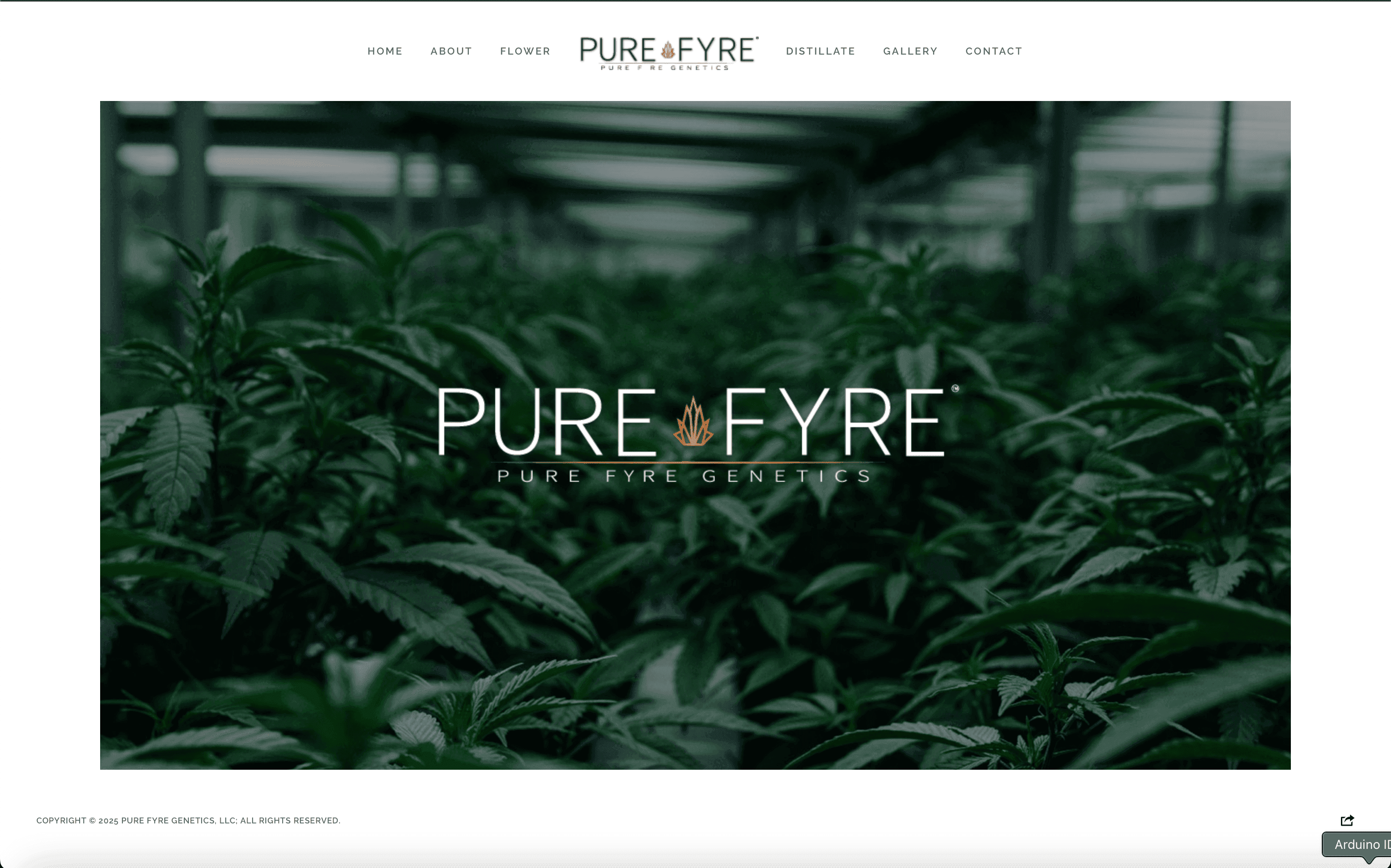 Pure Fyre - Branding, Logo, and Packaging Design